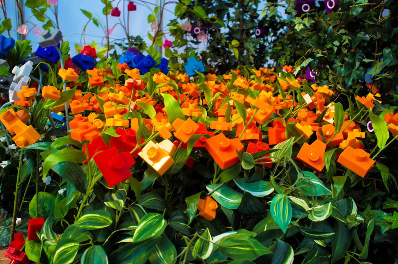 André-Feliciano-Camera-Flowers