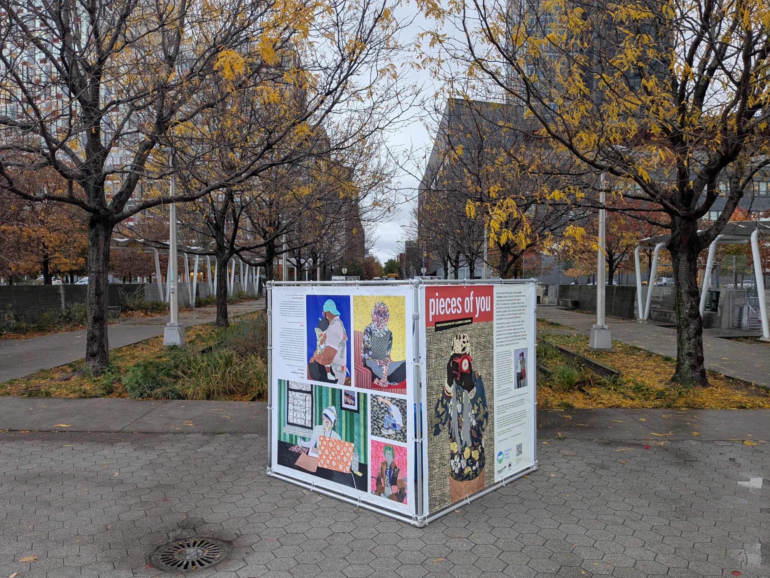 PXL_20251110_195016953.RAW-01.COVER