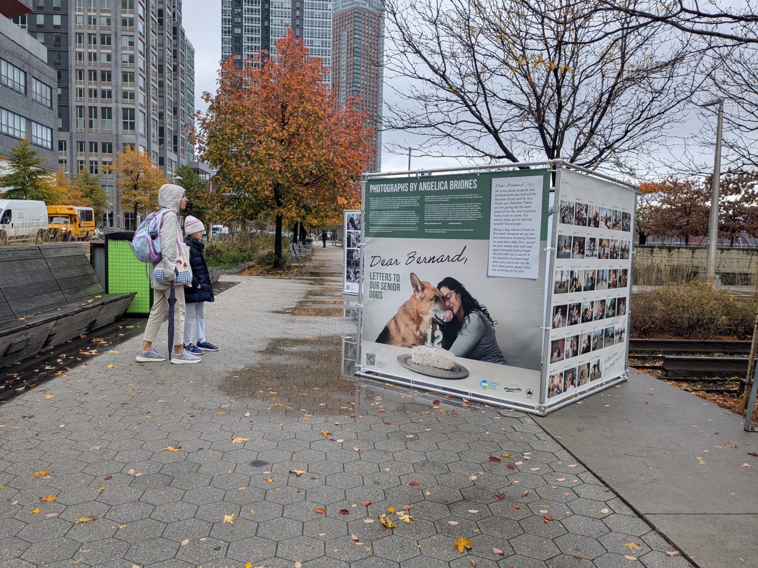 PXL_20251110_195750391.RAW-01.COVER